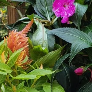 Meet your Posher, Kristy